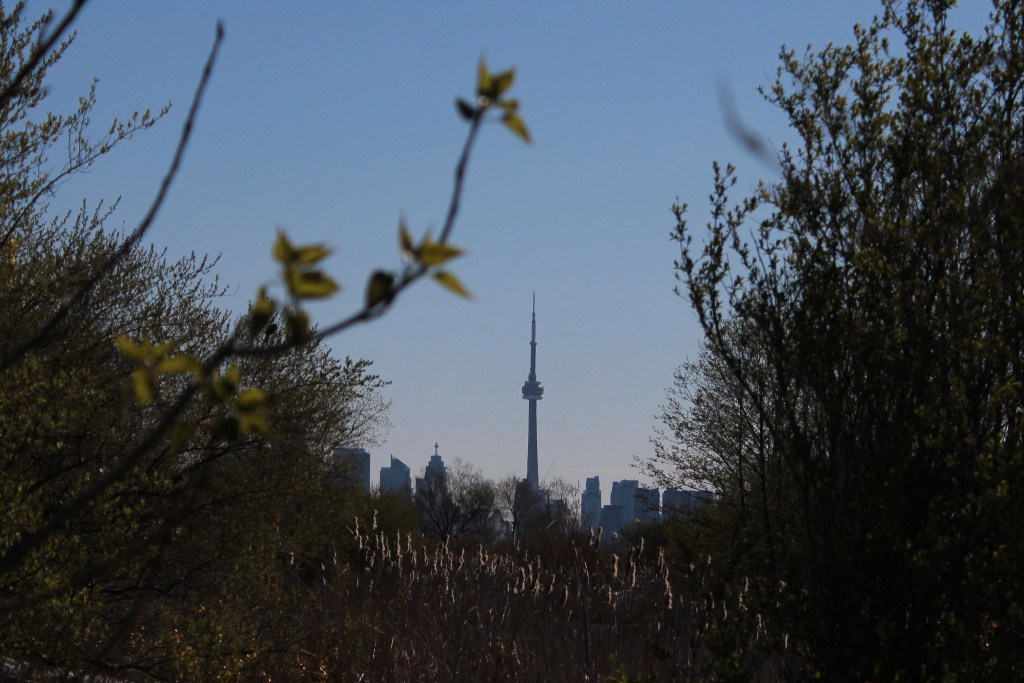 Toronto CN Tower from the Humber Bay Park