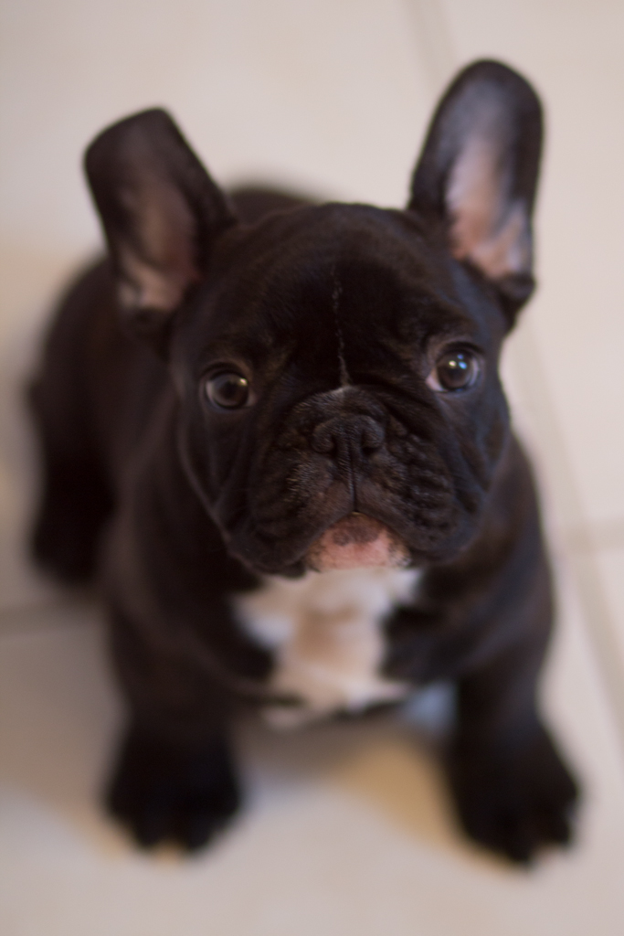 Watson