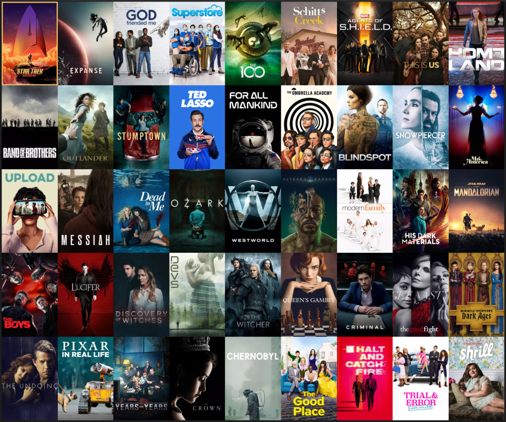 A grid view of all the TV shows I watched this year