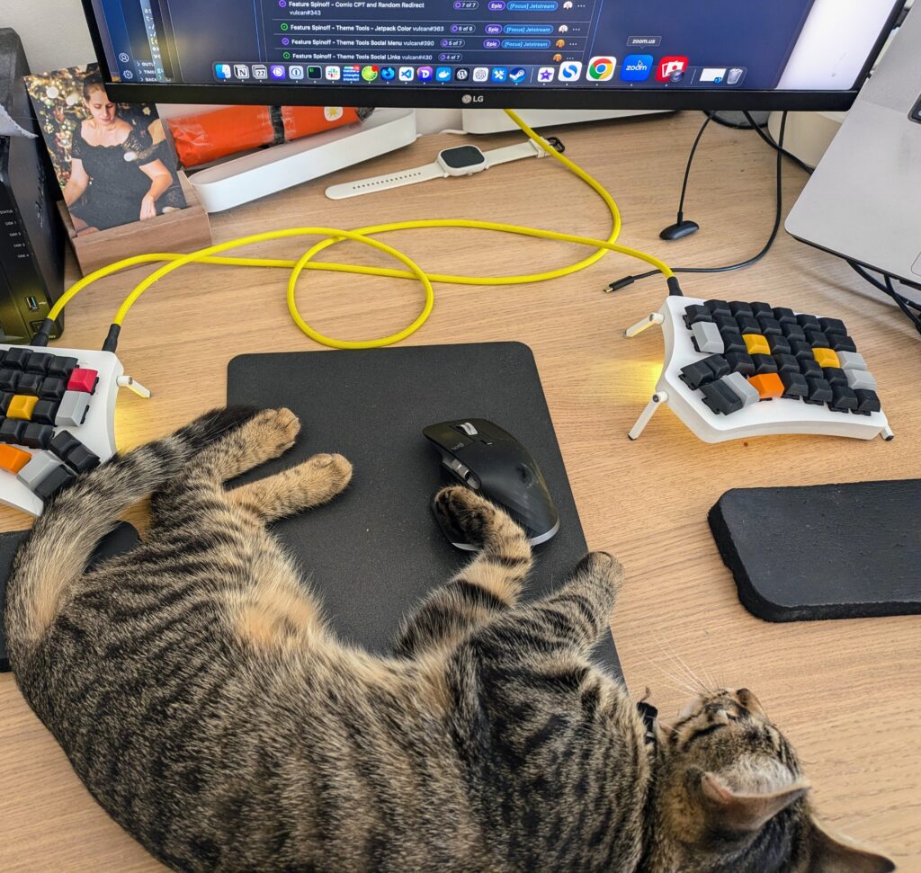 Chat couché sur mon bureau, m'empêchant d'accéder à ma souris