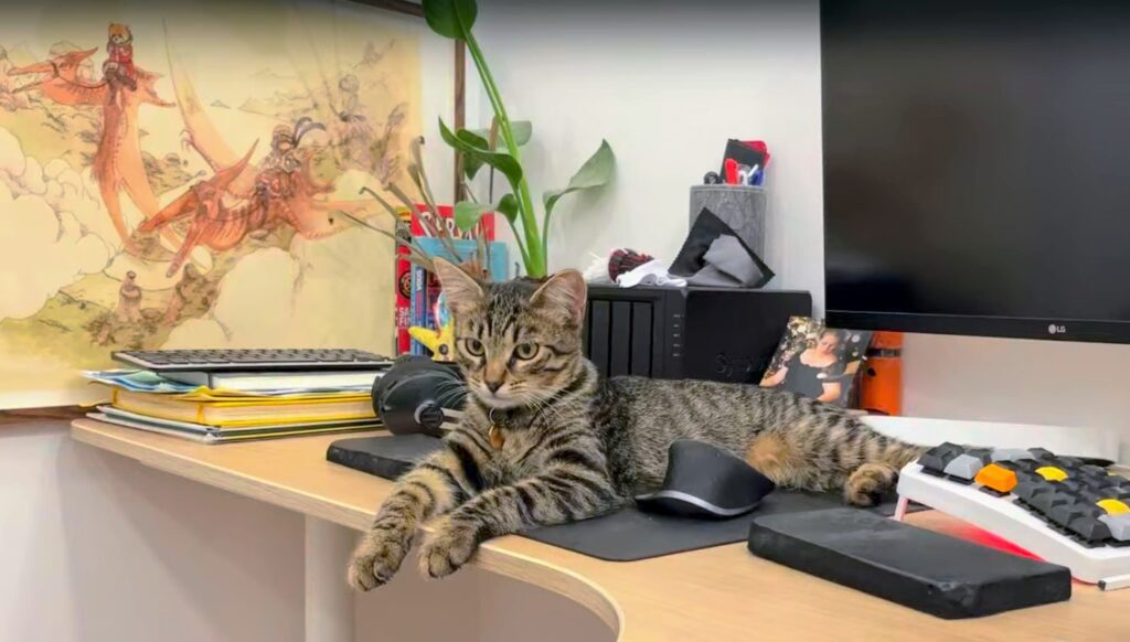 Cat laying down in front of a computer screen