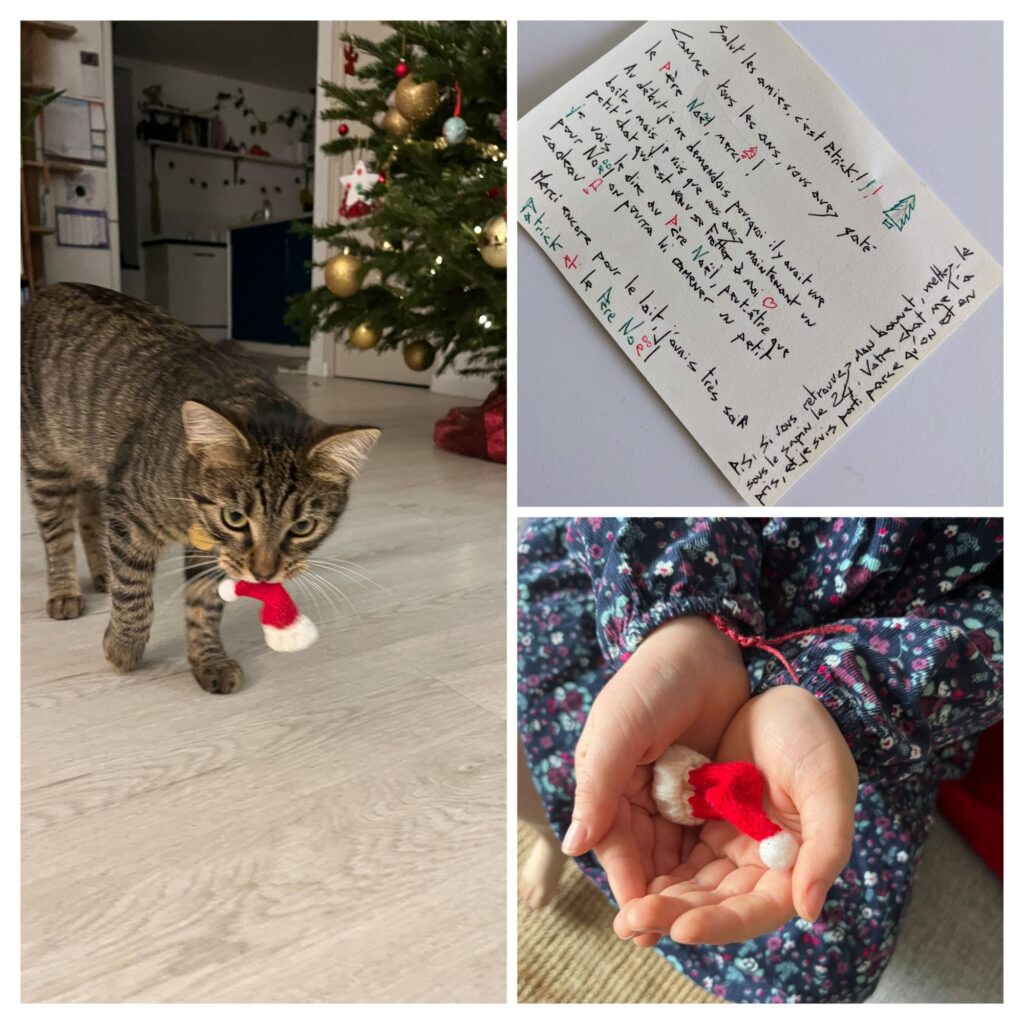 Collage photo. Photo 1: notre chat Milou avec un mini bonnet de Noël en laine dans la bouche. Photo 2: la lettre que Patrick a laissée lors de son passage chez nous, où il explique que le chat lui a volé son bonnet. Photo 3: gros plan sur le bonnet