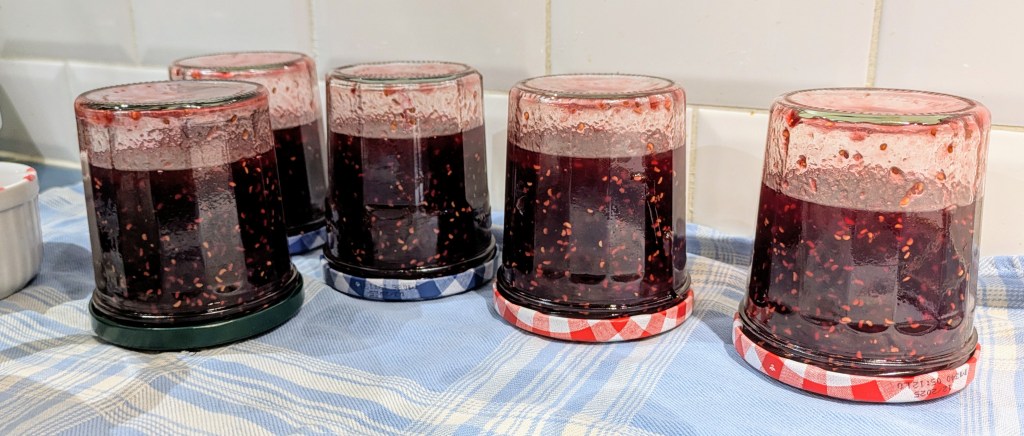 Le résultat : 5 pots de confiture pour un peu plus d'un kilo de fruits (plus un bon ramequin mis à part pour le cuistot, pour tester et pour le petit déjeuner demain)
